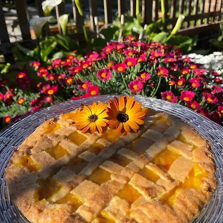 Dom wakacyjny Celeste - Isola D'elba